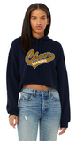 Cheer Cropped Hoodie 4-22