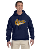 Cheer Unisex Gildan Hoodie 4-22